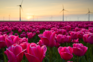 banner-image
